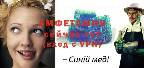 ПСИЛОЦИБИНОВЫЕ ГРИБЫ Вяземский