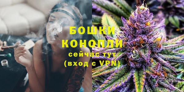 ПСИЛОЦИБИНОВЫЕ ГРИБЫ Вяземский