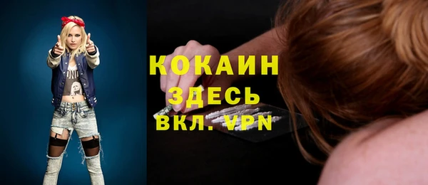 ПСИЛОЦИБИНОВЫЕ ГРИБЫ Вяземский