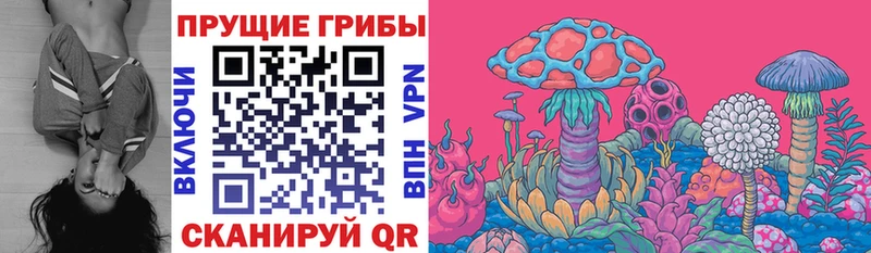 Псилоцибиновые грибы ЛСД  Майкоп 